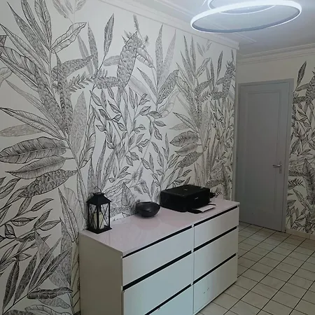 Belle D'hôte Avec Balcon Privé - 3 Mins Gare - Genève Accès Direct * Annemasse